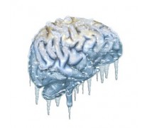 Brain Freezer