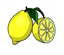 Lemon