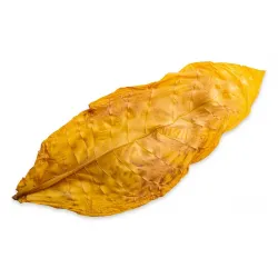 BURLEY TOBACCO