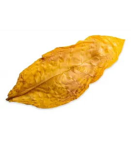 BURLEY TOBACCO