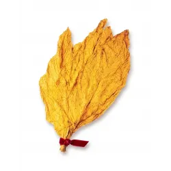Flue-Cured Virginia (FCV) Tobacco