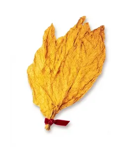 Flue-Cured Virginia (FCV) Tobacco