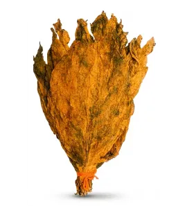 LANKA TOBACCO