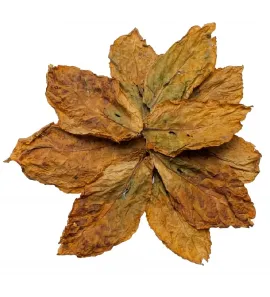 ORIENTAL TOBACCO